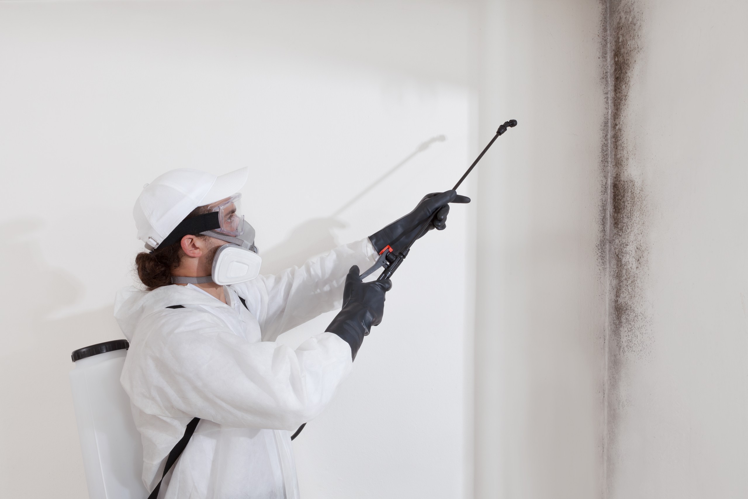 apex_property_restoration_mold_remediation